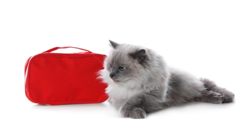 First aid kit and cute cat on white background. Animal care