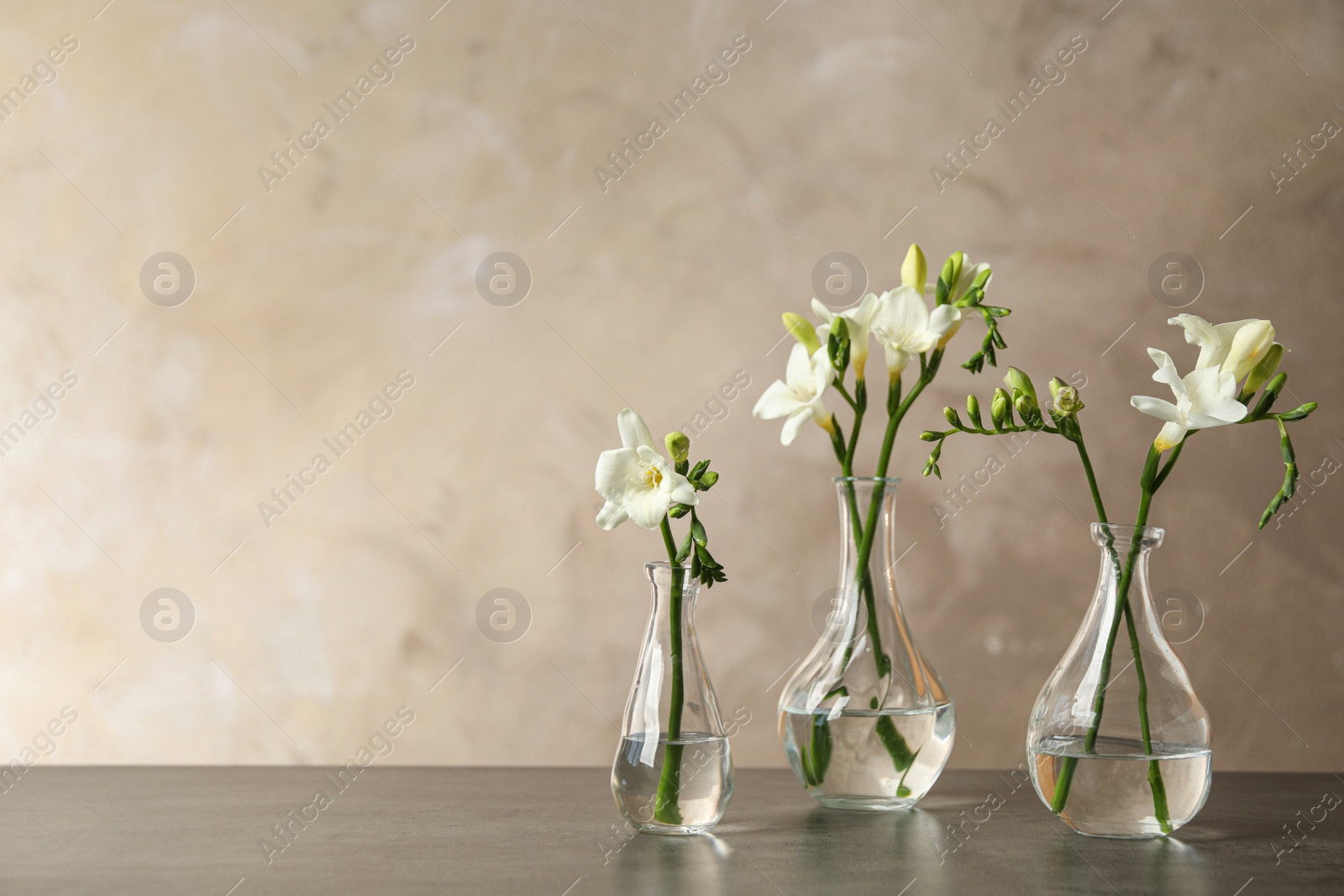 Photo of Beautiful freesia flowers in vases on grey table. Space for text