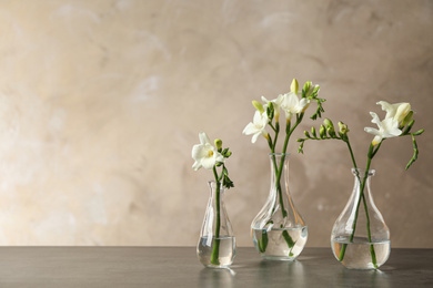 Photo of Beautiful freesia flowers in vases on grey table. Space for text