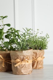 Different aromatic potted herbs on floor near white wall