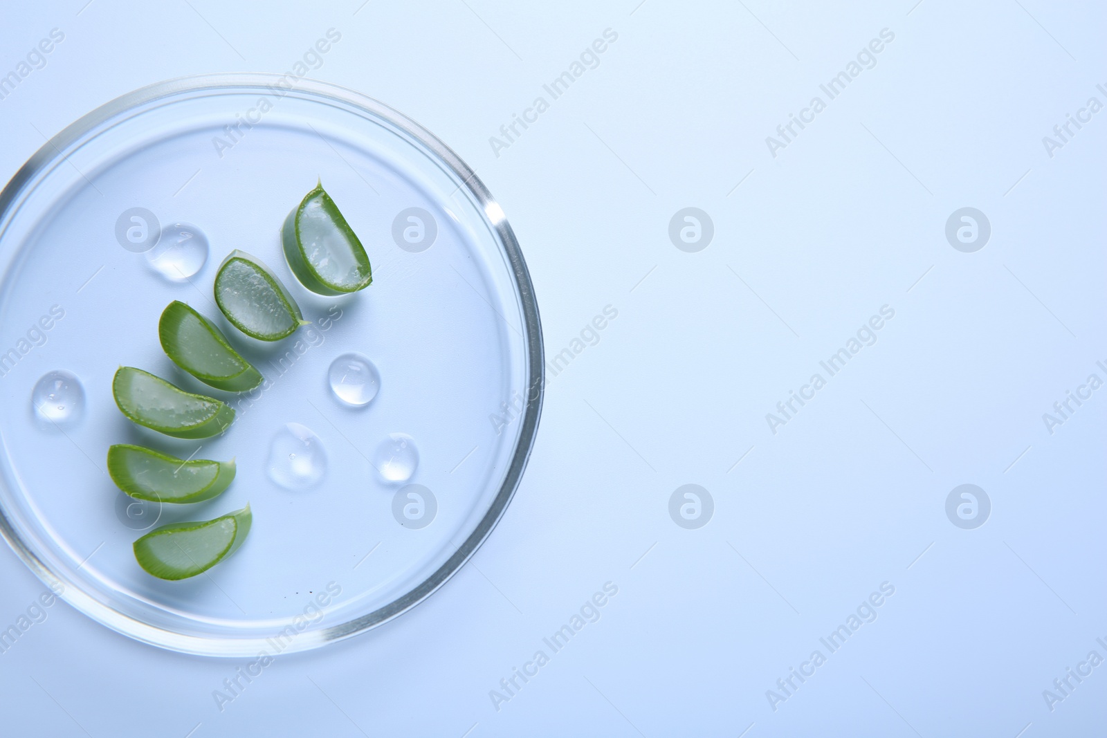 Photo of Cut aloe vera and drops of cosmetic gel on light blue background, top view. Space for text