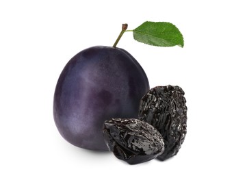 Image of Delicious fresh ripe plum and sweet dried prunes on white background 