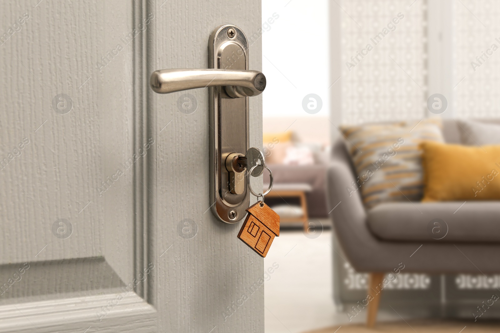 Image of Closeup view of door with key open in living room