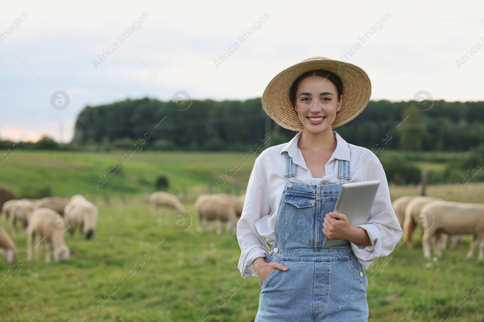 Photo of Smiling woman with tablet on pasture at farm. Space for text