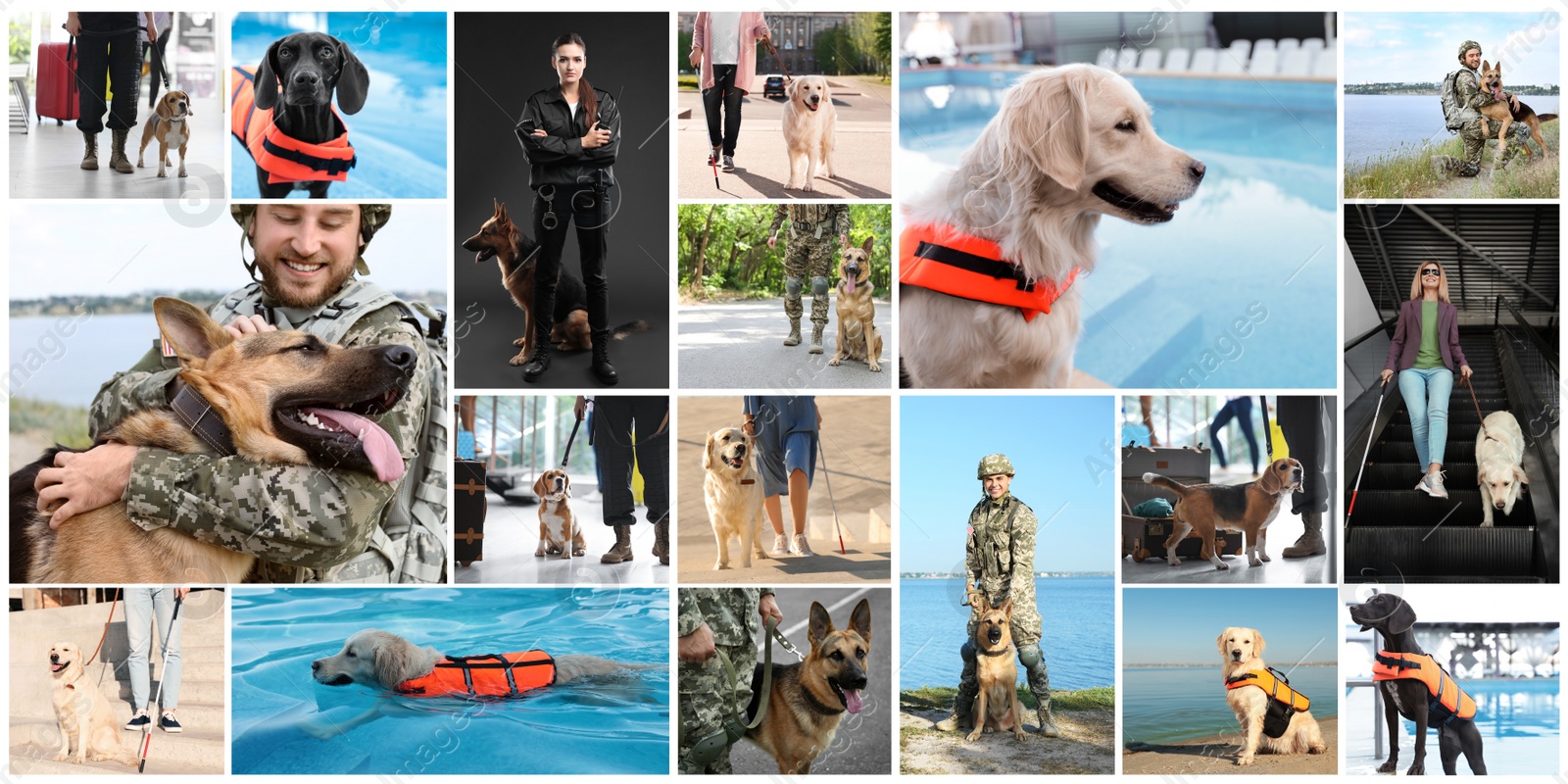 Image of Collage with photos of people with service dogs, banner design