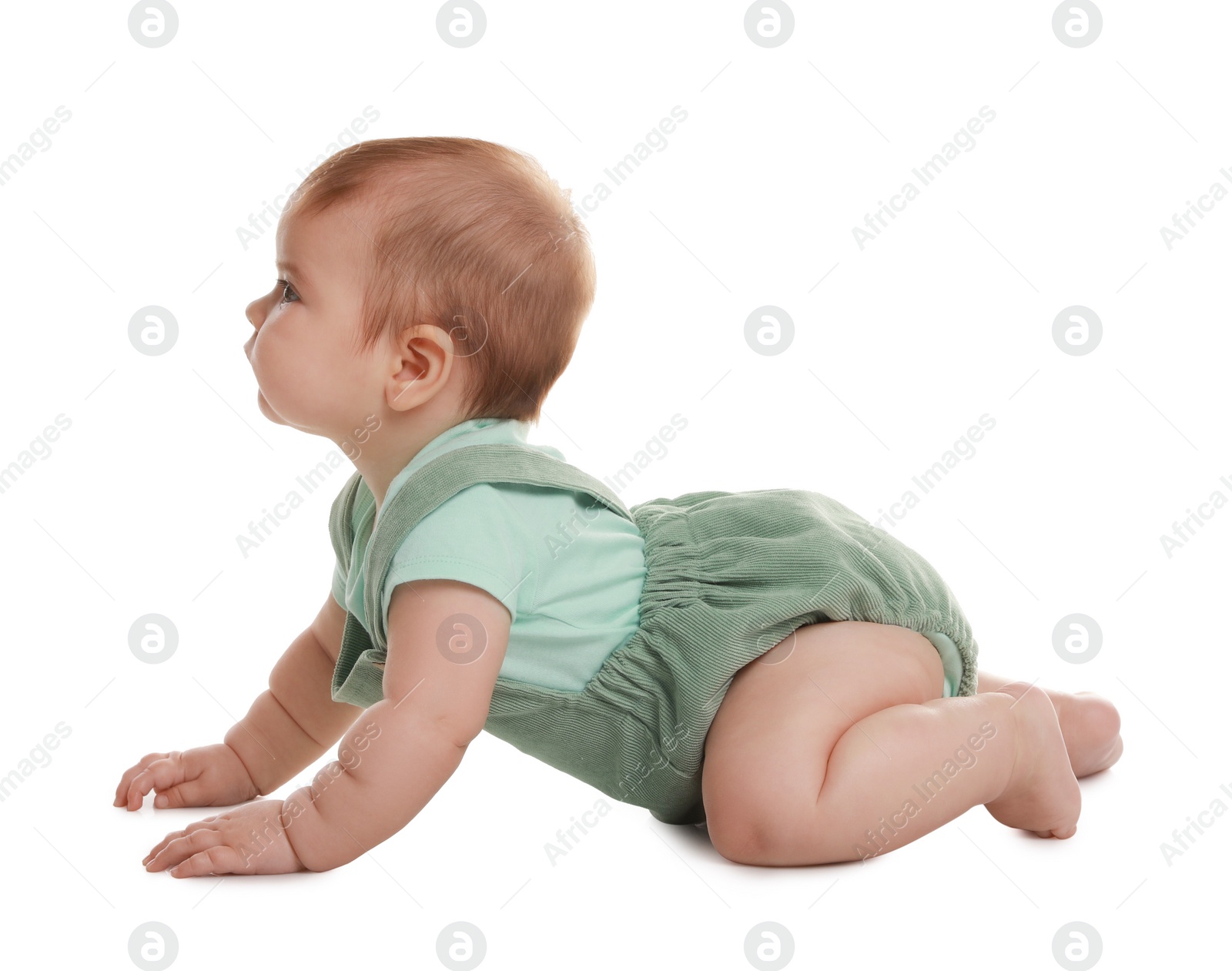 Photo of Cute little baby crawling on white background