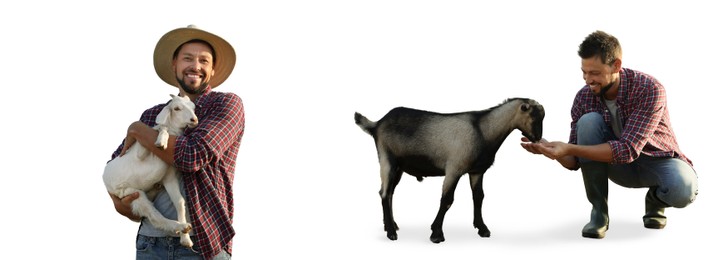 Image of Man and cute domestic goats on white background, collage. Banner design