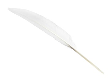 Photo of Beautiful white bird feather isolated on white