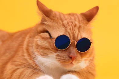 Photo of Portrait of cute ginger cat in stylish sunglasses on yellow background, closeup