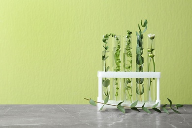 Photo of Test tubes with different plants on table against green background. Space for text