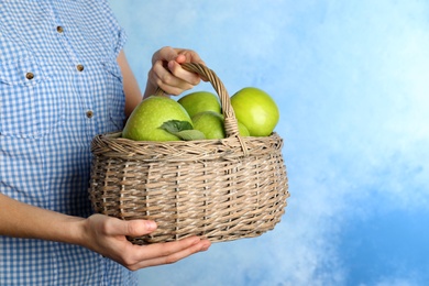 Photo of Woman holding wicker basket with ripe juicy green apples on color background. Space for text