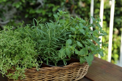Photo of Wicker basket with fresh mint, thyme and rosemary on wooden table outdoors. Aromatic herbs
