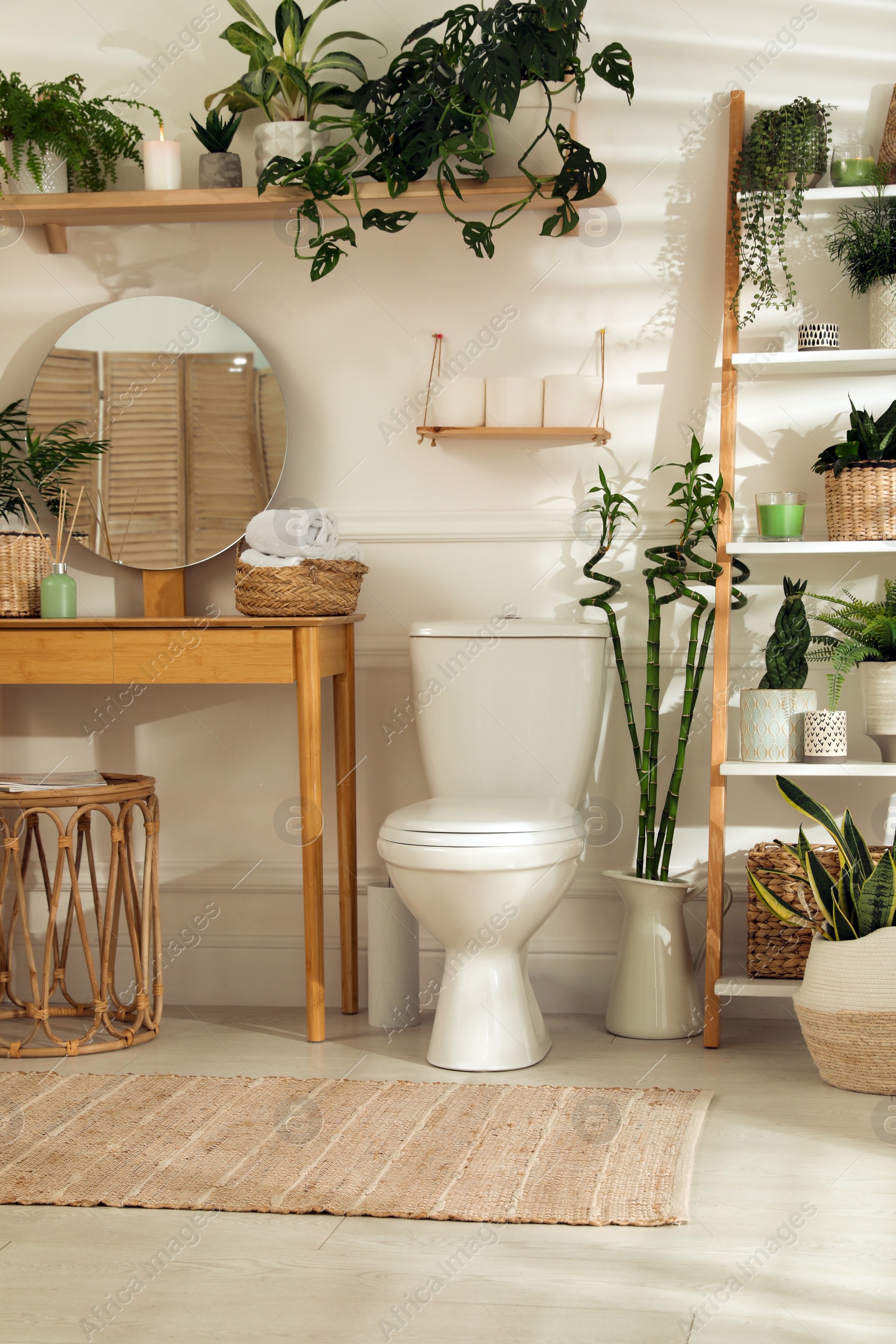 Photo of Stylish bathroom interior with toilet bowl and many beautiful houseplants