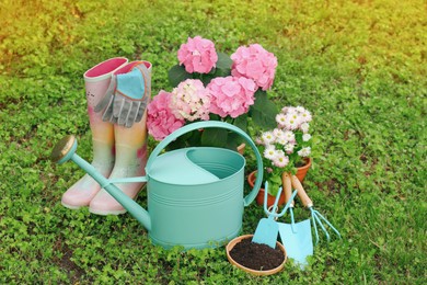 Photo of Beautiful blooming plants, gardening tools and accessories on green grass outdoors