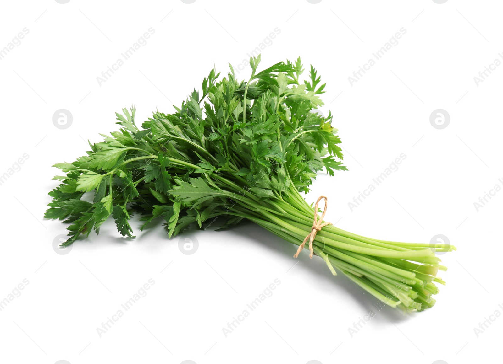 Photo of Bunch of fresh parsley isolated on white