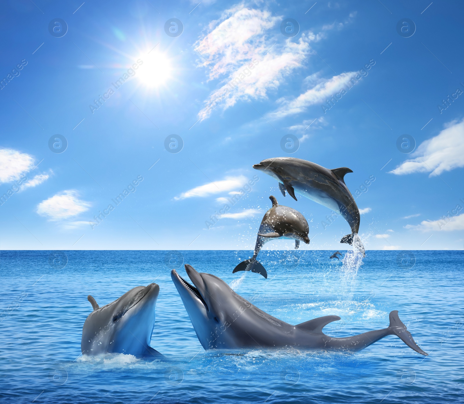 Image of Beautiful bottlenose dolphins jumping out of sea with clear blue water on sunny day 