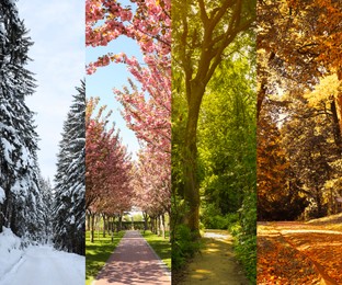 Image of Four seasons. Collage design with beautiful photos of nature