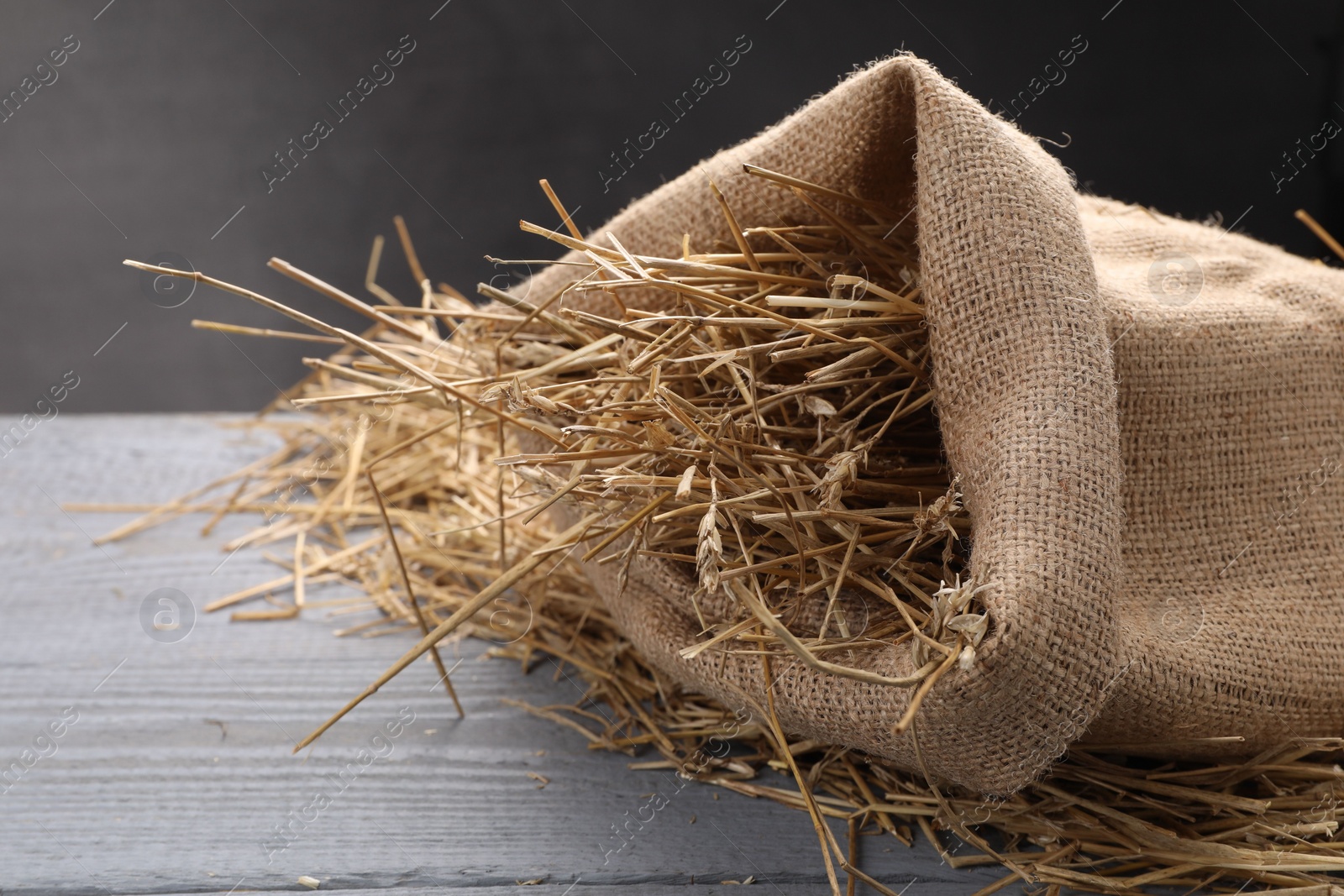 Photo of Dried straw in burlap sack on grey wooden table