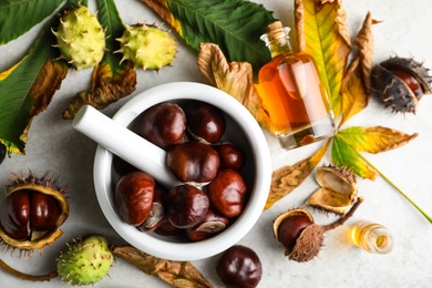 Flat lay composition with fresh horse chestnuts and tincture on grey table