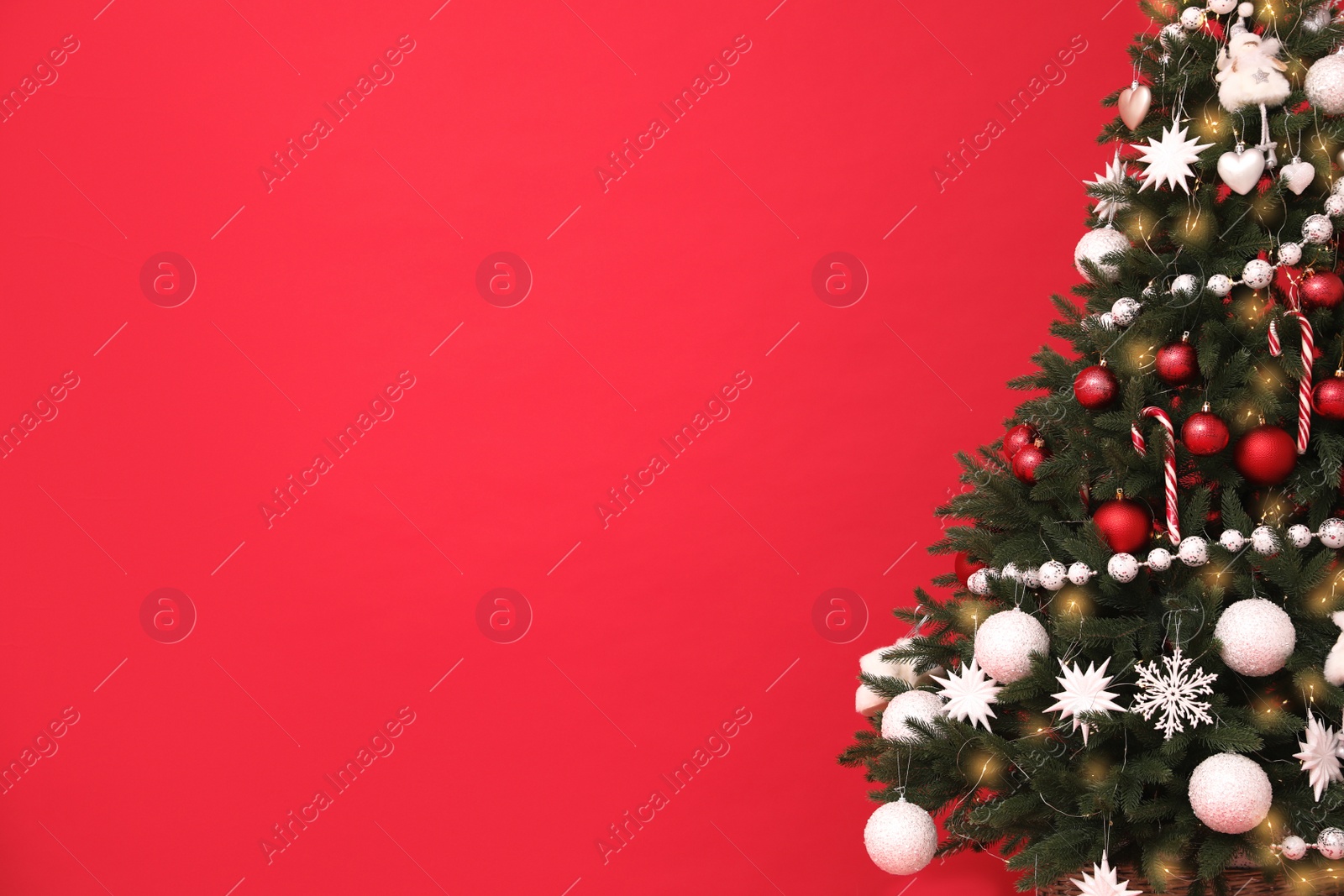 Photo of Christmas tree on red background, space for text