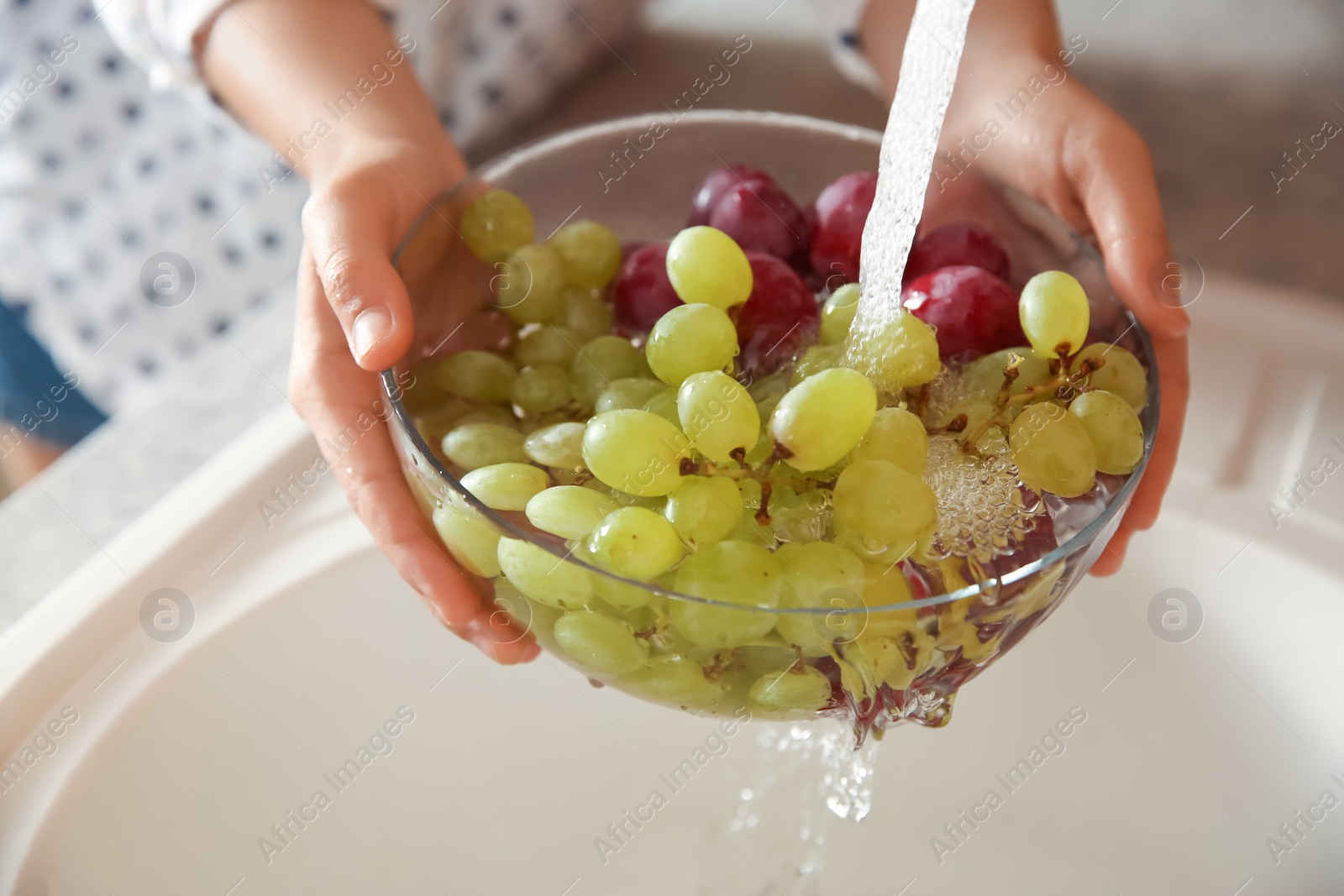 Photo of Woman washing fresh grapes in kitchen sink, closeup