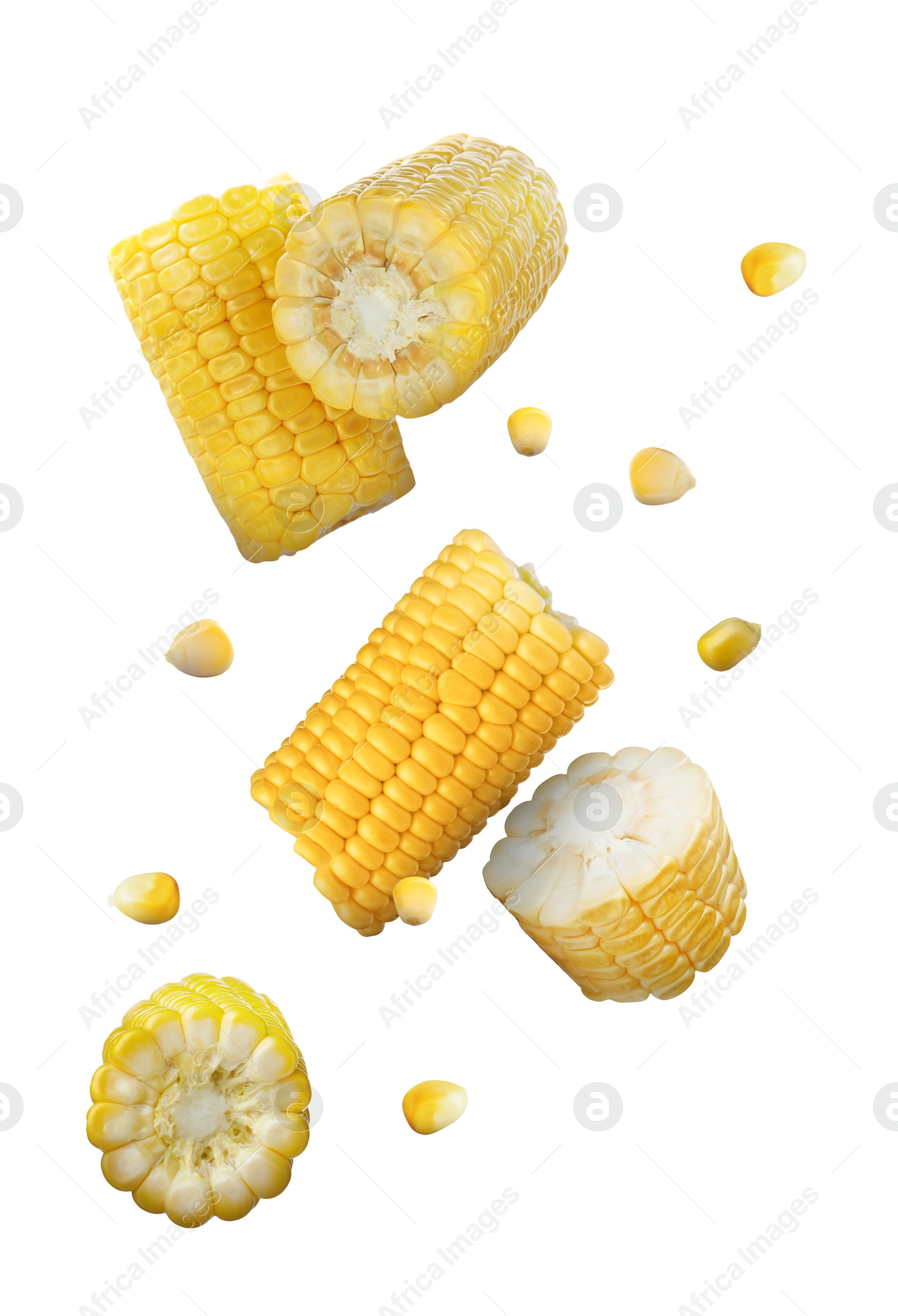 Image of Tasty ripe corn cobs falling on white background