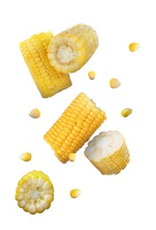 Tasty ripe corn cobs falling on white background