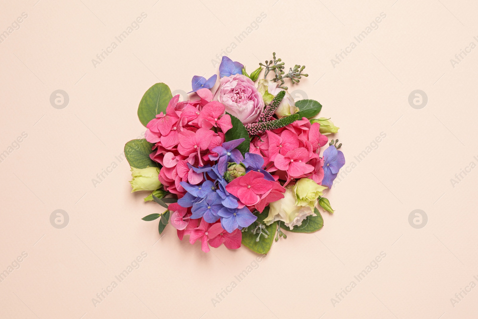 Photo of Beautiful composition with hortensia flowers on beige background, flat lay