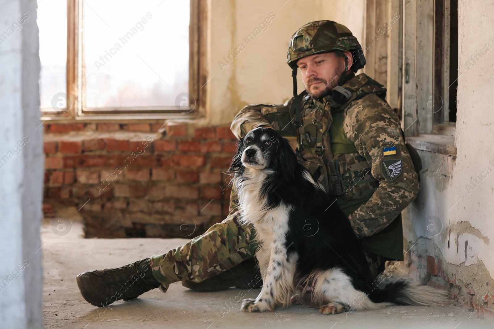 Photo of Ukrainian soldier sitting with stray dog in abandoned building