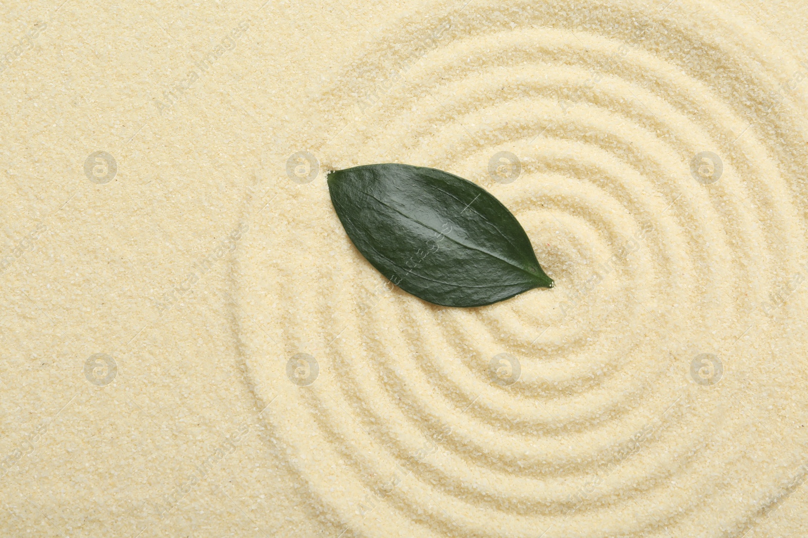 Photo of Zen rock garden. Circle pattern and green leaf on beige sand, top view