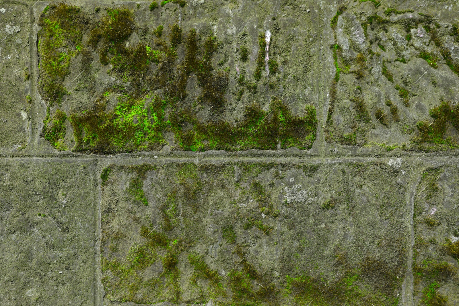 Photo of Stone wall with green moss as background, closeup