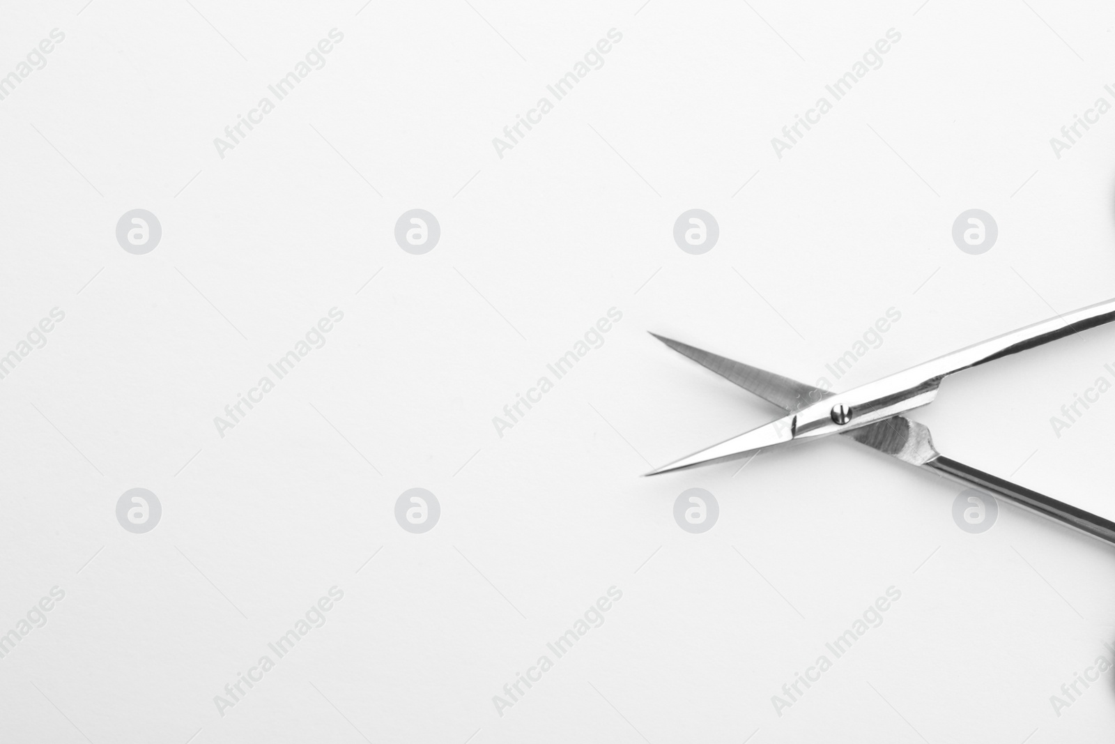 Photo of Pair of nail scissors on white background