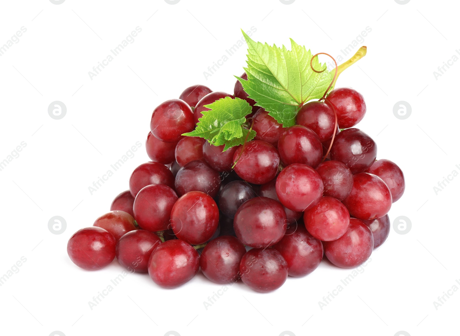 Photo of Bunch of fresh ripe juicy red grapes with leaves isolated on white