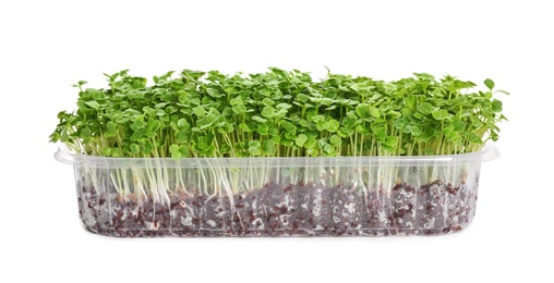 Photo of Fresh organic microgreen in plastic container on white background