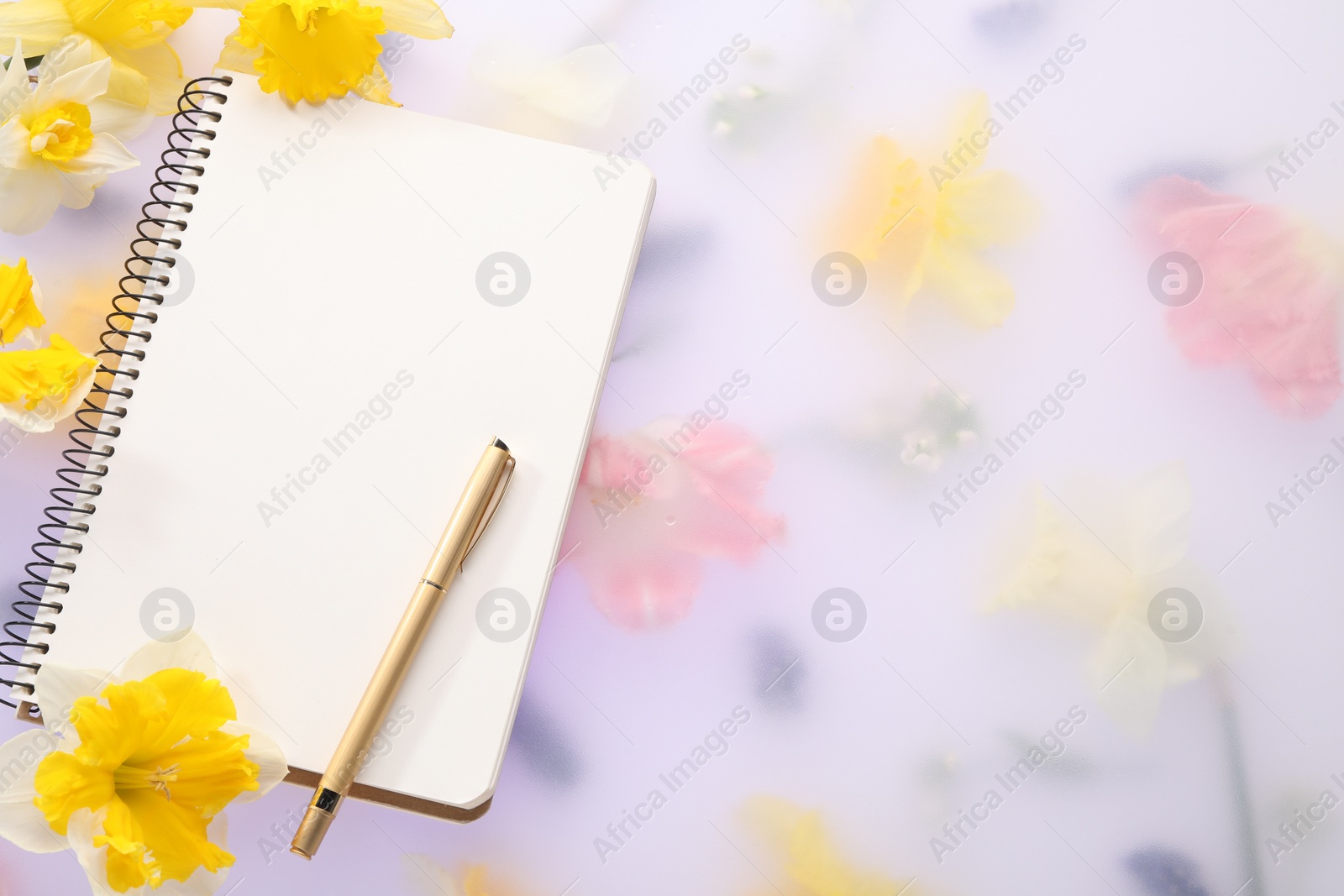 Photo of Guest list. Notebook, pen and daffodils on spring floral background, flat lay. Space for text