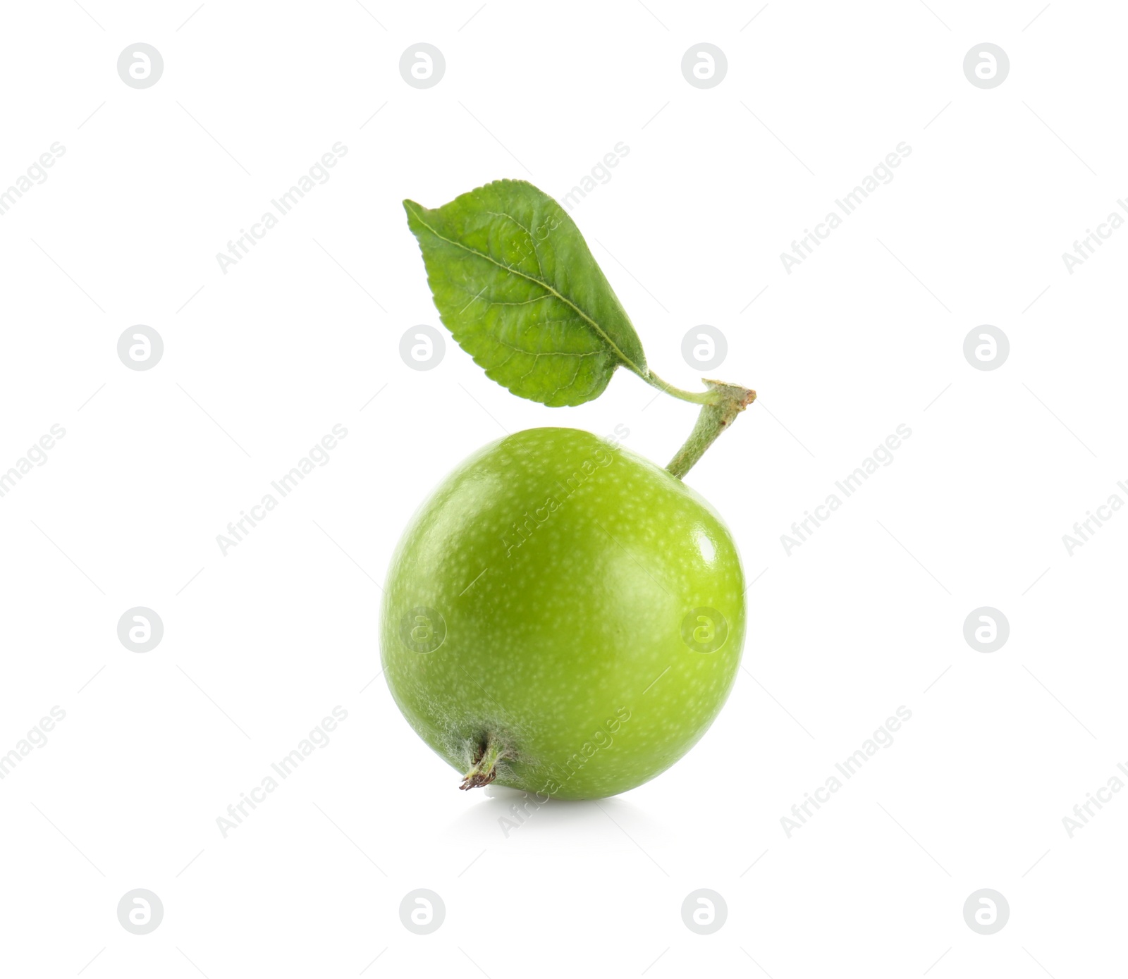 Photo of Fresh green apple with leaf isolated on white