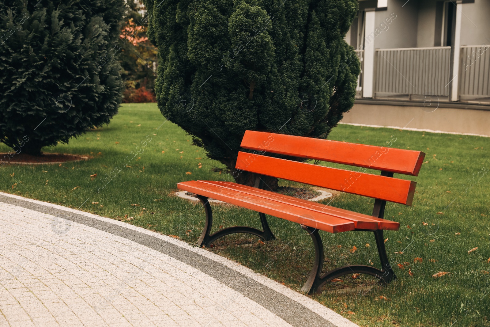 Photo of Beautiful bushes, pathway and bench in park