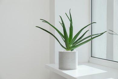 Beautiful potted aloe vera plant on windowsill indoors, space for text