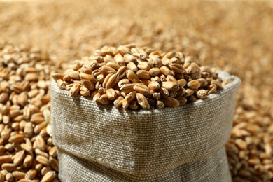 Photo of Sack with many wheat grains, closeup view