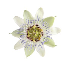 Photo of Beautiful blossom of Passiflora plant (passion fruit) on white background