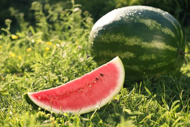 Photo of Tasty ripe watermelons on green grass outdoors