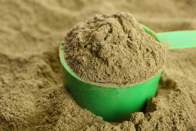 Photo of Hemp protein powder and measuring scoop, closeup