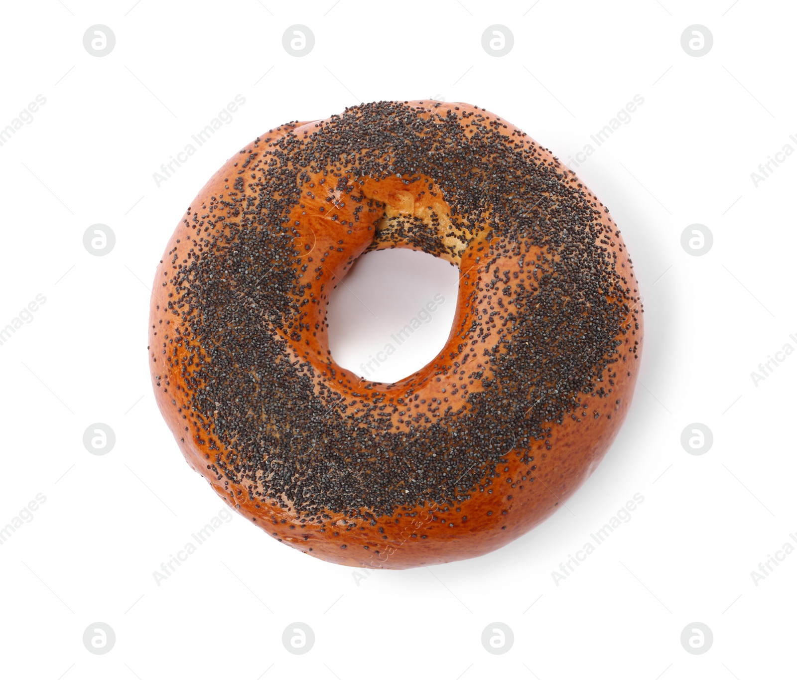 Photo of Delicious fresh bagel with poppy seeds isolated on white