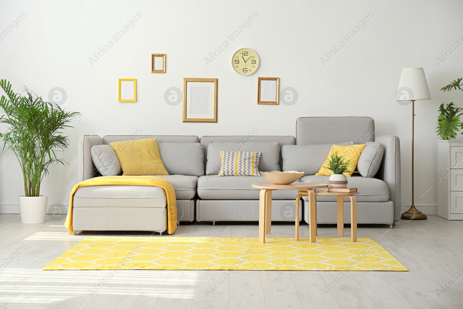 Photo of Stylish living room interior with comfortable grey couch