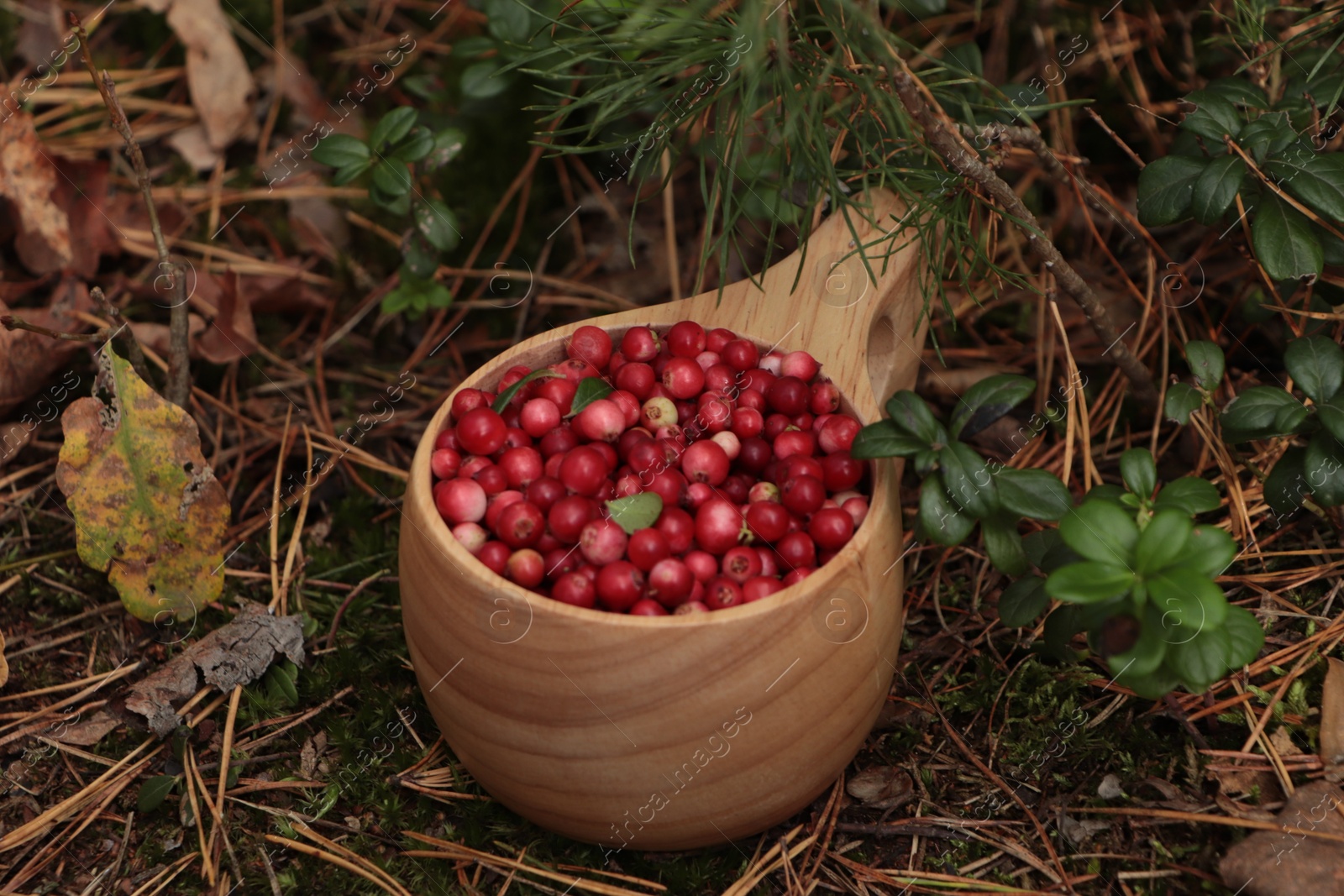 Photo of Many tasty ripe lingonberries in wooden cup outdoors