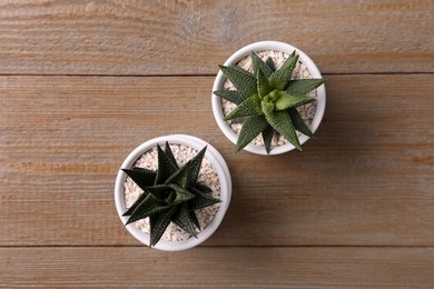 Succulent plants in pots on wooden table, flat lay