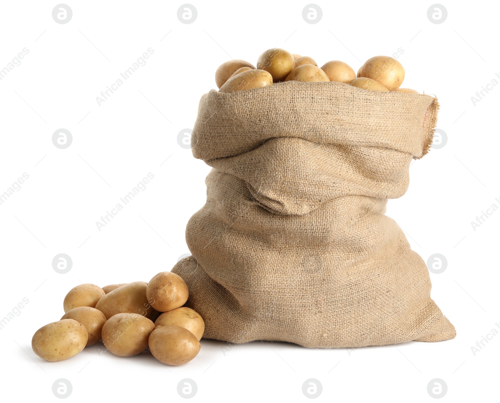 Photo of Raw fresh organic potatoes on white background