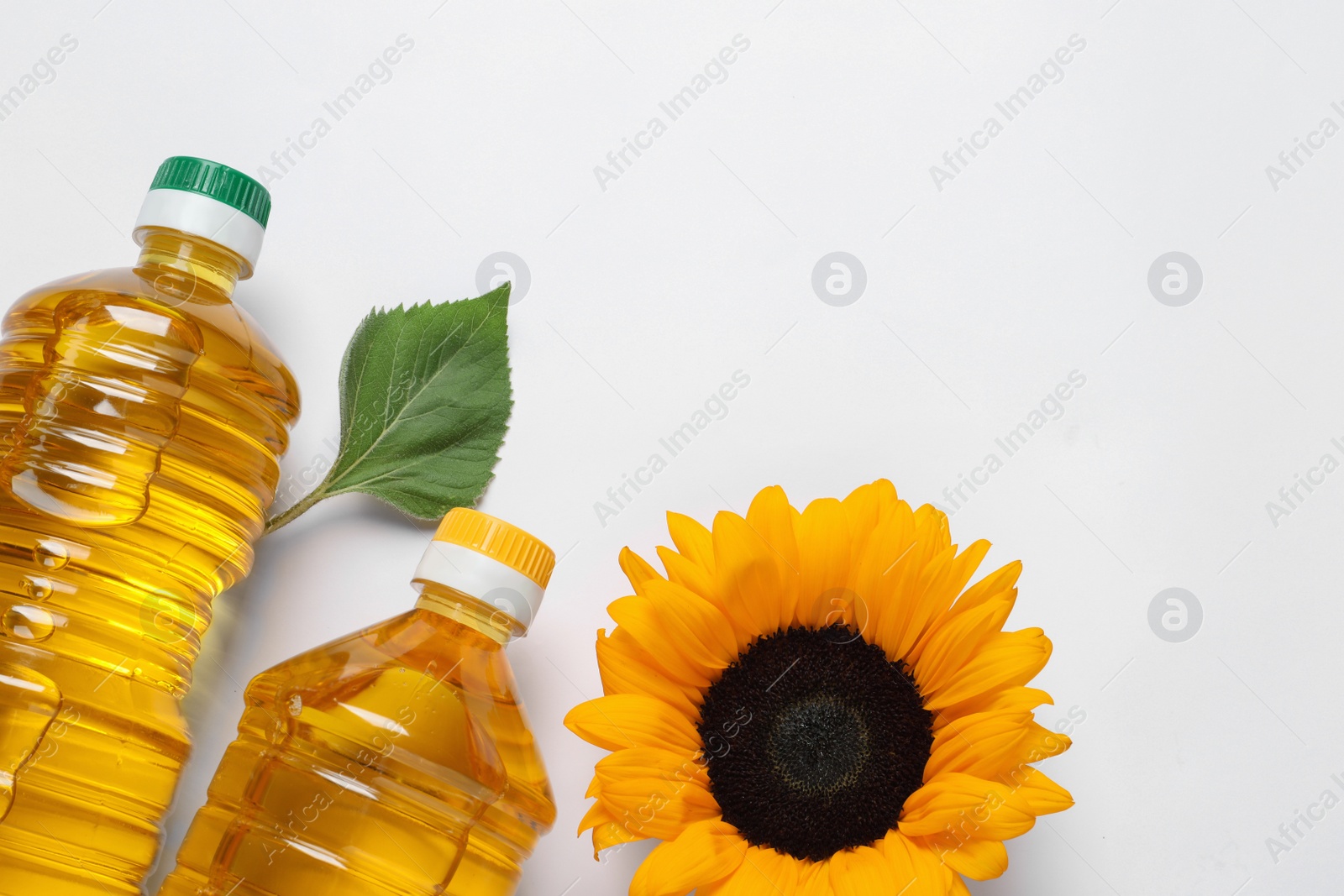 Photo of Bottles of cooking oil and sunflowers on white table, flat lay