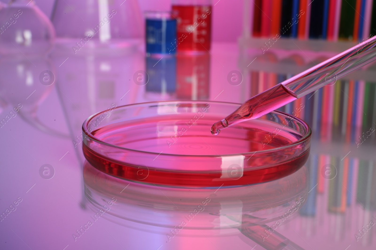 Photo of Dripping red reagent into Petri dish with sample on table, closeup