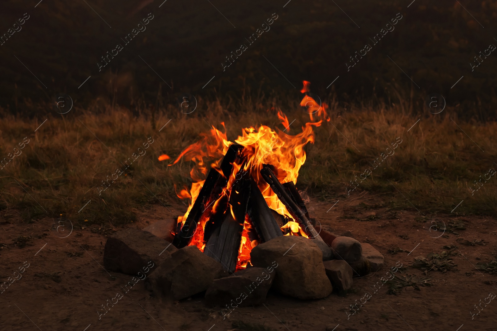 Photo of Beautiful bonfire with burning firewood outdoors at night. Camping season